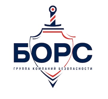 1111логотип Борс белый.jpg